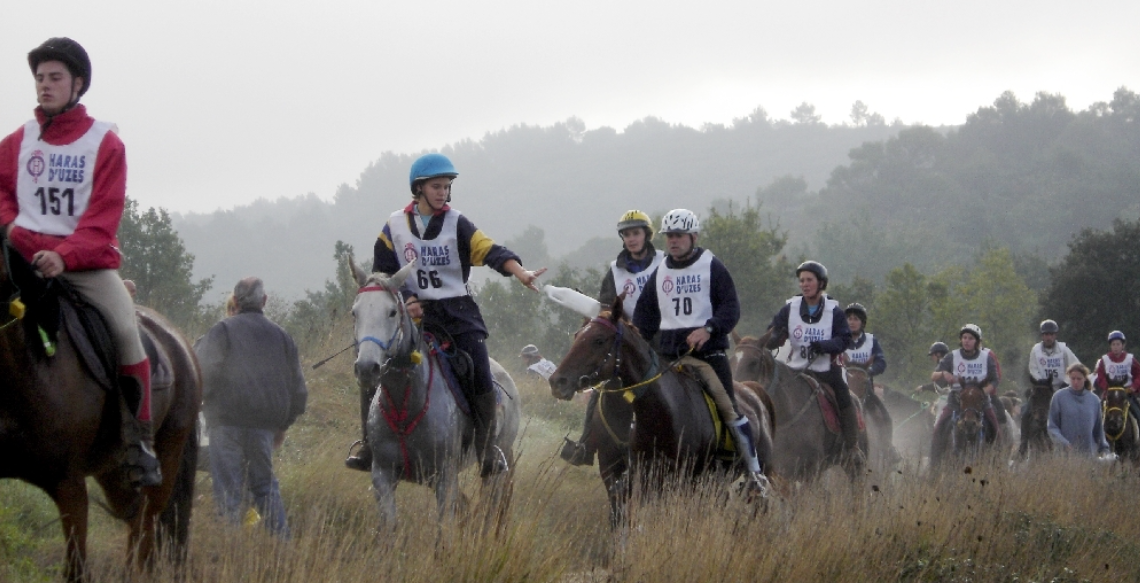 O começo do ano hípico reúne expectativa, planejamento e retorno às competições. No entanto, também é o período em que aumentam significativamente as lesões...