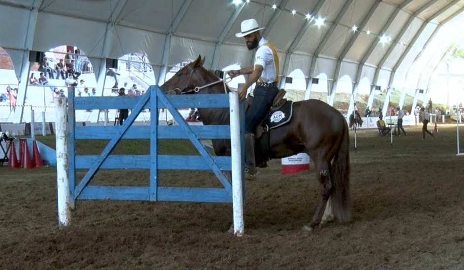 O começo do ano hípico reúne expectativa, planejamento e retorno às competições. No entanto, também é o período em que aumentam significativamente as lesões...