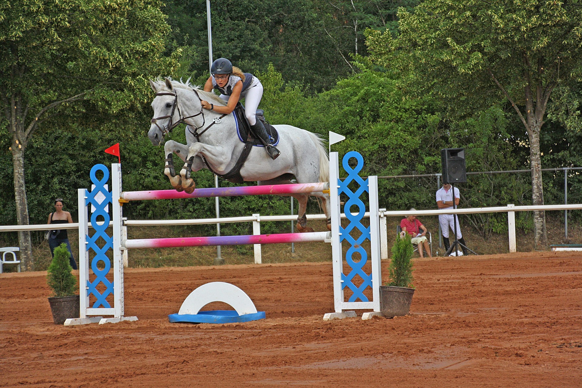 O começo do ano hípico reúne expectativa, planejamento e retorno às competições. No entanto, também é o período em que aumentam significativamente as lesões...