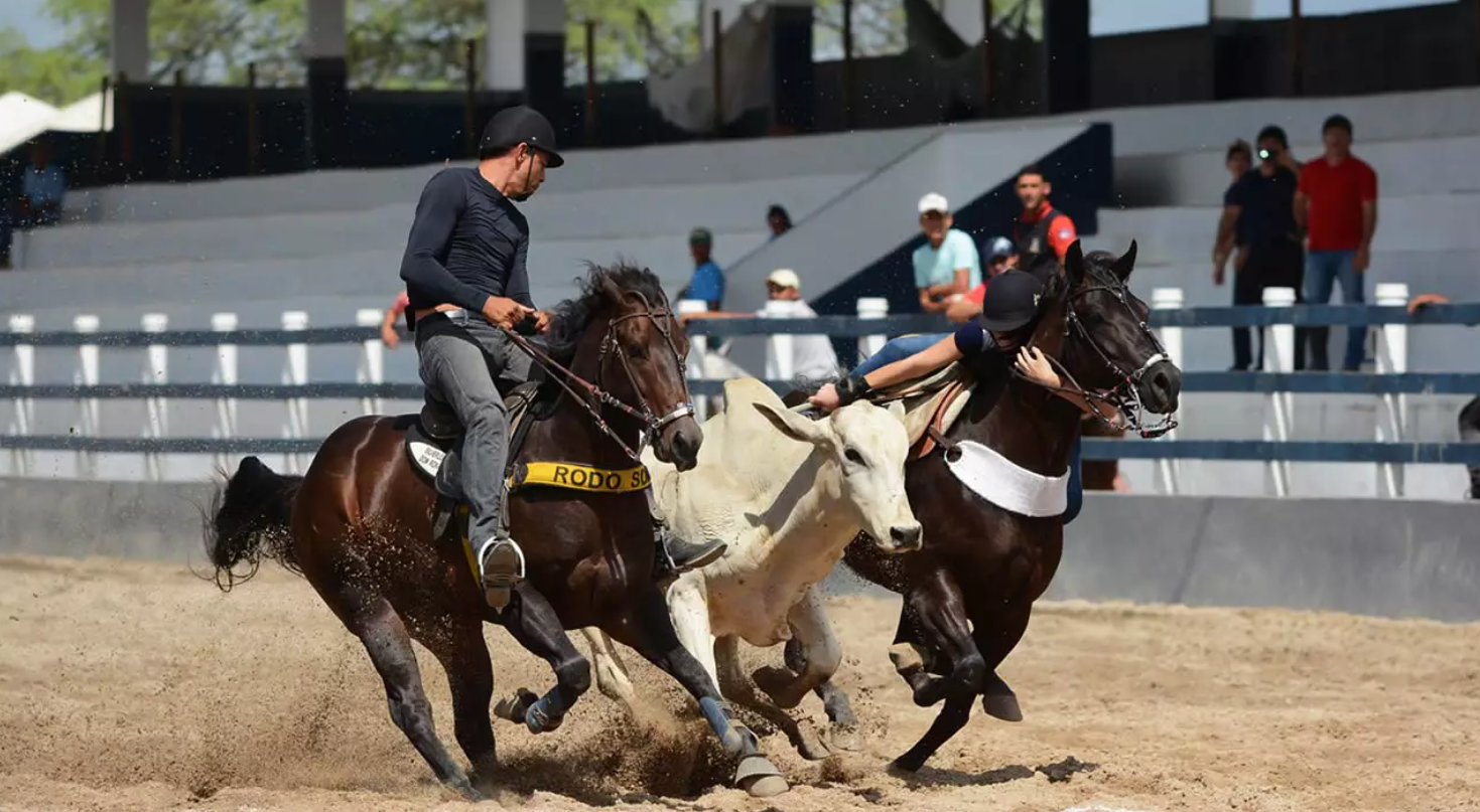 O começo do ano hípico reúne expectativa, planejamento e retorno às competições. No entanto, também é o período em que aumentam significativamente as lesões...
