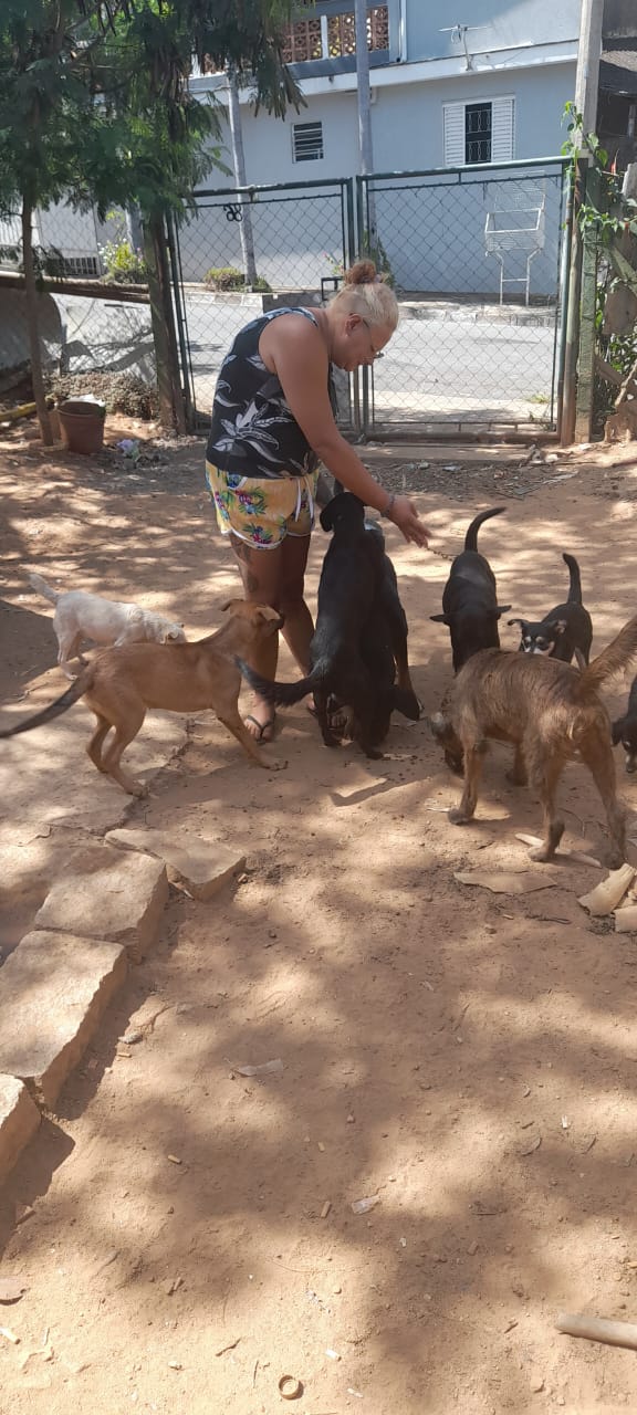 No dia 14 de março, celebrado como o Dia Nacional dos Animais, a data vai muito além de um marco no calendário. É o grito silencioso de milhares de cães e...