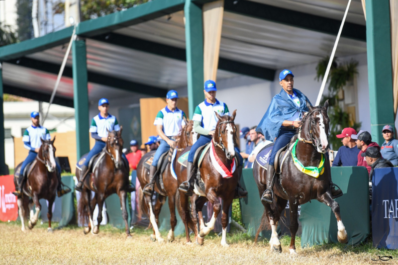 A Associação Brasileira de Criadores de Cavalos da Raça Mangalarga (ABCCRM) participa pela primeira vez da Agrishow, maior evento do agronegócio da América...
