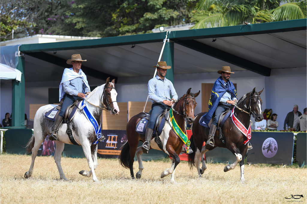 A Associação Brasileira de Criadores de Cavalos da Raça Mangalarga (ABCCRM) participa pela primeira vez da Agrishow, maior evento do agronegócio da América...
