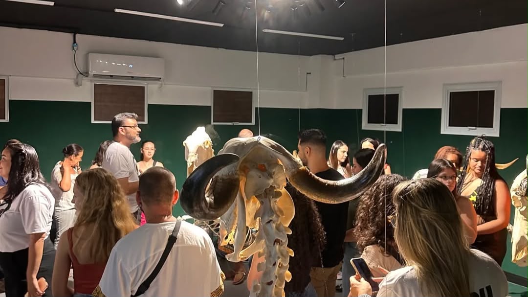 Faculdade Qualittas - Falta pouco para quem sonha em seguir carreira na Medicina Veterinária conhecer de perto a realidade da profissão. No próximo sábado, 18 de julho, a partir...