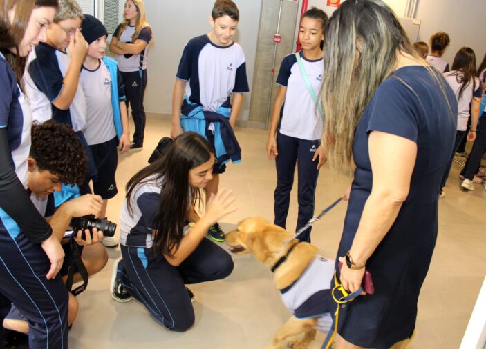 Um cão no ambiente escolar! O ambiente escolar é sempre vibrante e tem uma agitação natural, de alunos aprendendo e interagindo. O Colégio Adventista do...
