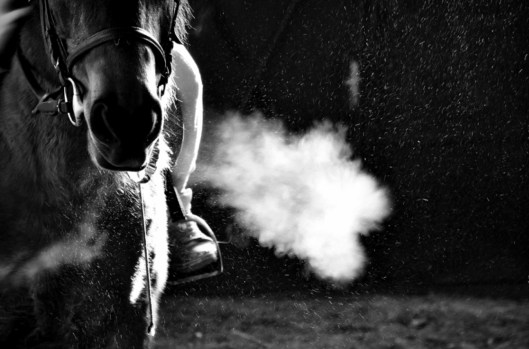 O inverno, especialmente nas regiões Sul e Sudeste do país, impõe um cenário de alerta: doenças respiratórias, rigidez muscular, lesões e queda de desempenho...