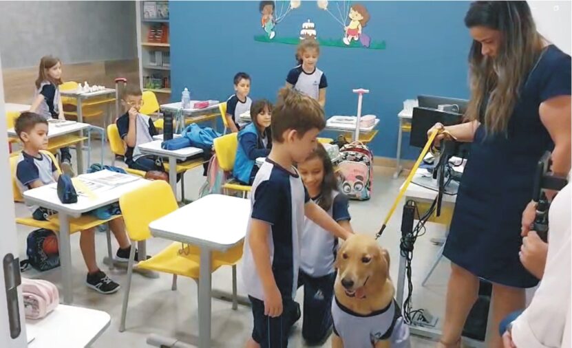 Um cão no ambiente escolar! O ambiente escolar é sempre vibrante e tem uma agitação natural, de alunos aprendendo e interagindo. O Colégio Adventista do...