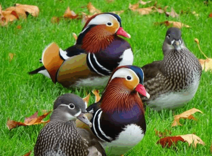 A pecuária é um dos pilares fundamentais da economia brasileira, desempenhando um papel crucial na segurança alimentar, na geração de empregos e na...