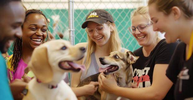 A Faculdade de Medicina Veterinária Qualittas, referência nacional no ensino veterinário, abre suas portas ao público neste sábado, 19 de julho, das 13h às...
