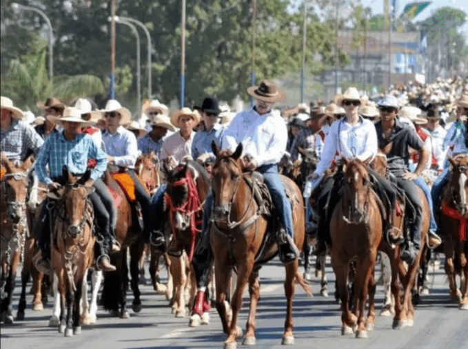 A recente comoção causada pelo cavalo mutilado durante uma cavalgada no Vale do Paraíba (SP) — que levou celebridades como Ana Castela, Luisa Mell e Paolla...