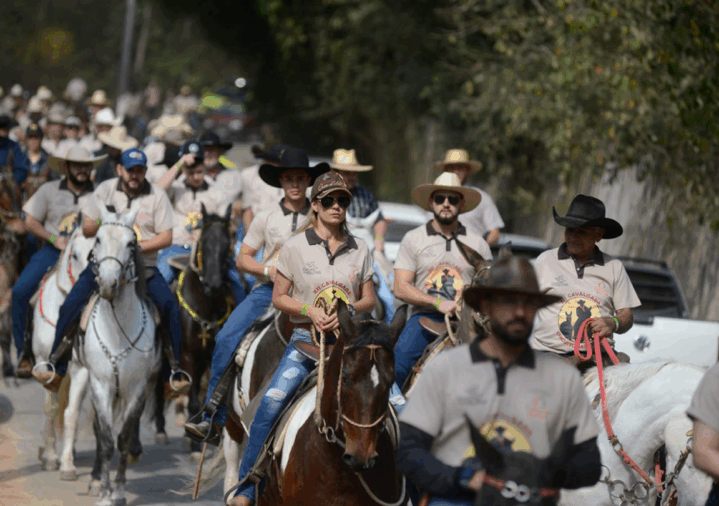 A recente comoção causada pelo cavalo mutilado durante uma cavalgada no Vale do Paraíba (SP) — que levou celebridades como Ana Castela, Luisa Mell e Paolla...