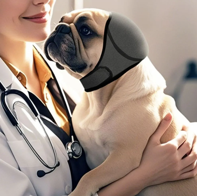 O uso de fogos de artifício ainda é uma prática comum nas celebrações brasileiras. No entanto, o impacto desse tipo de estímulo sonoro sobre os animais...