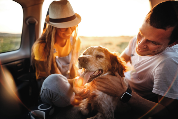 Com a chegada do verão, muitas famílias aproveitam para pegar a estrada em busca de descanso e dias mais tranquilos ao lado de seus pets (animais de...