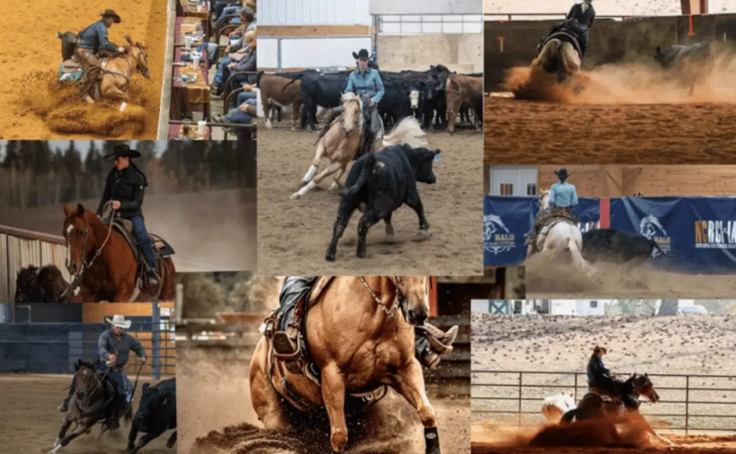 O começo do ano hípico reúne expectativa, planejamento e retorno às competições. No entanto, também é o período em que aumentam significativamente as lesões...